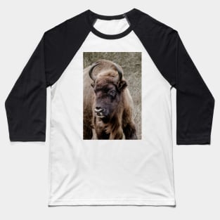 European bison portrait Baseball T-Shirt